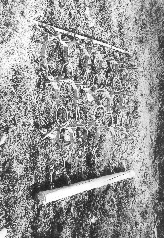 erpice, Agricoltura di Domenico Cifarelli (parti in ferro), Domenico Ciarfaglia (parti in leg (Montescaglioso III elementare, contadino) (1935 post)