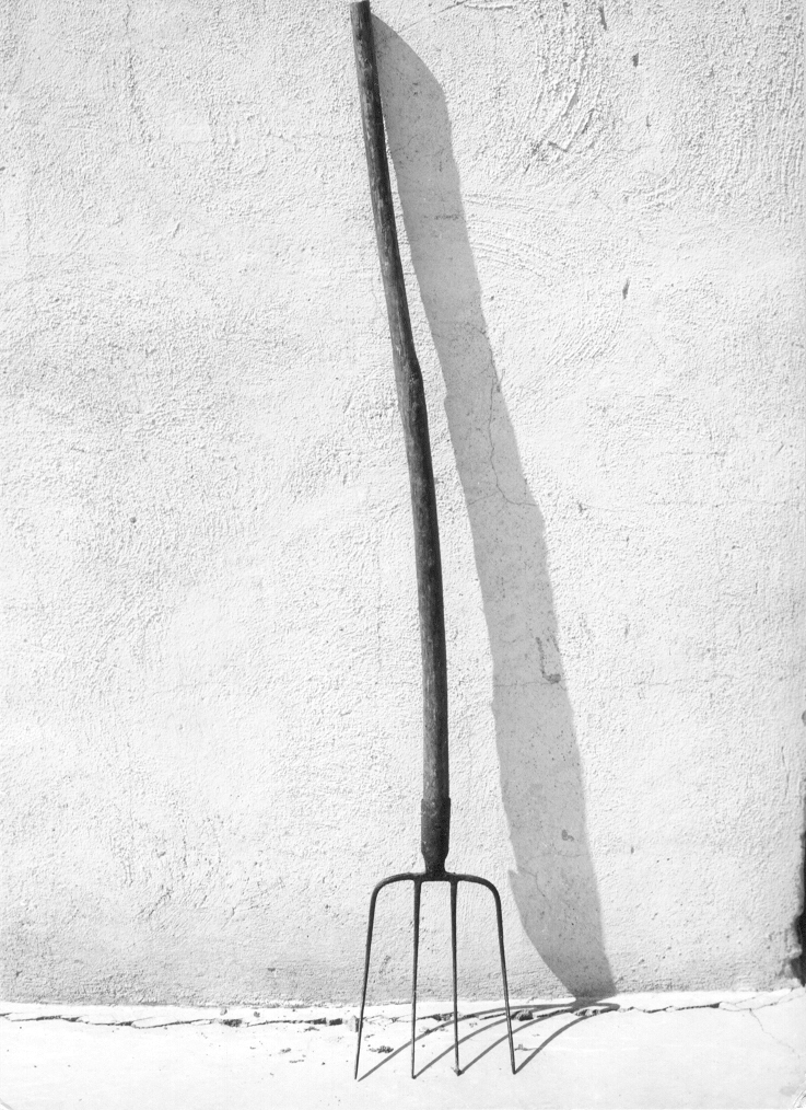 forca fienaia, Agricoltura di nr (parte agente (artigiano, fabbro), manico (agricoltore)) (sec. XX)