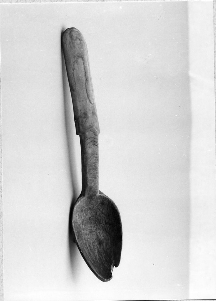 cucchiaio, Utensile, Casa contadina - Arte dei pastori (sec. XX)