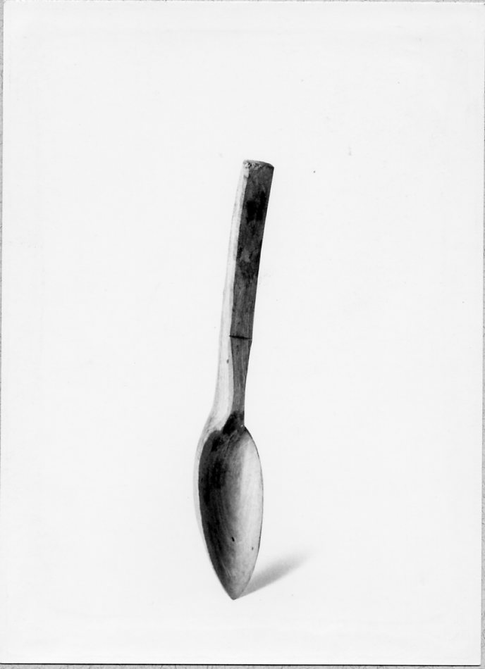 cucchiaio, utensili, Casa contadina - Arte dei pastori (1950 ca)