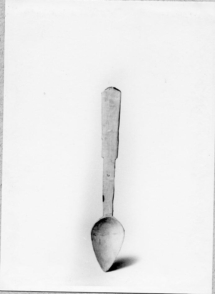 cucchiaio, utensili, Casa contadina - Arte dei pastori (1950 ca)