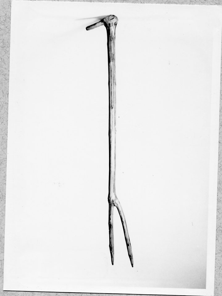 forchettone, Lavori agricoli - Ambito agricolo (1960 ante)