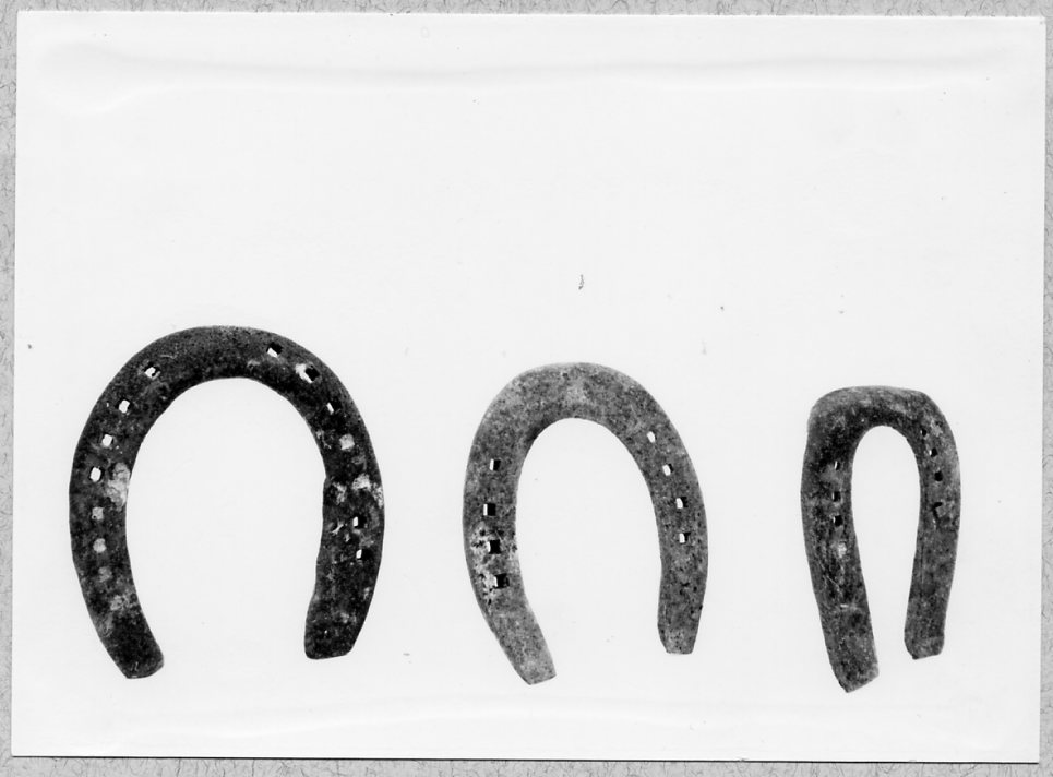 ferro da cavallo, allevamento - bottega del fabbro (1920 ca)