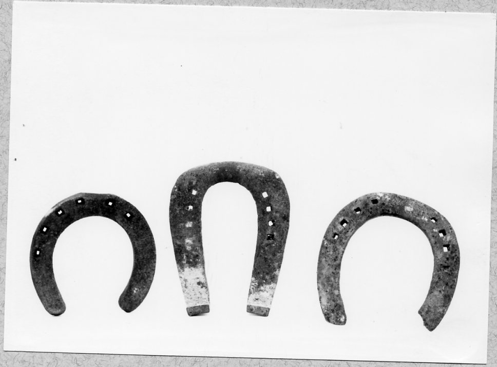 ferro da cavallo, allevamento - bottega del fabbro (1920)