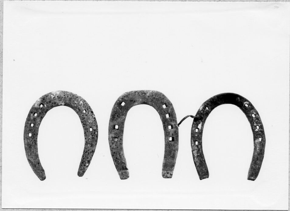 ferro da cavallo, allevamento - bottega del fabbro (1920 ca)