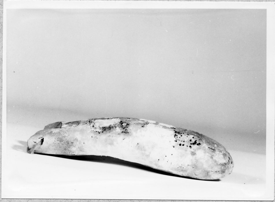 portasemi, Utensile, Casa contadina - Ambito domestico (1910 ca)