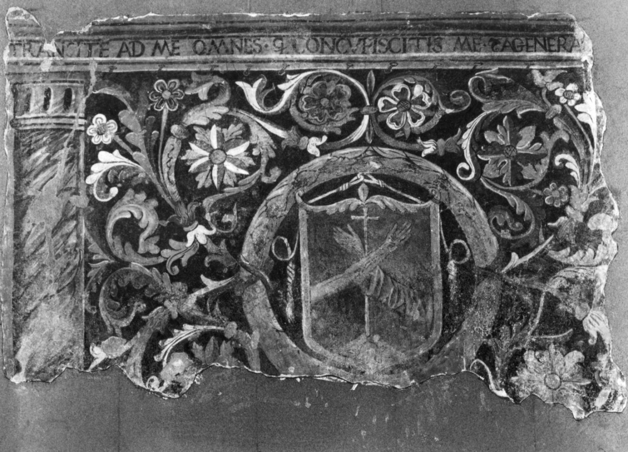 motivo a finti tendaggi con stemma franescano (dipinto, frammento) di Todisco Giovanni (sec. XVI)