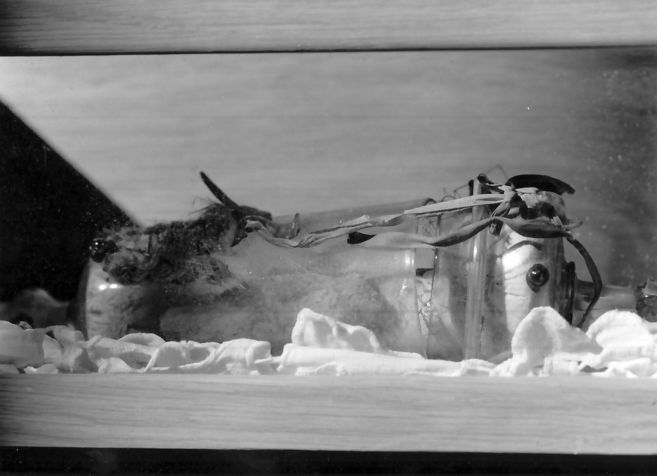 reliquiario, opera isolata - bottega Italia meridionale (sec. XIX)