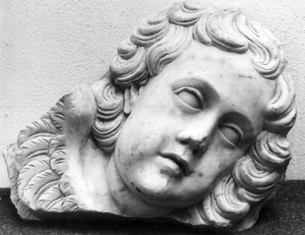 testa di angelo (decorazione plastica, frammento) - bottega napoletana (seconda metà sec. XVII)