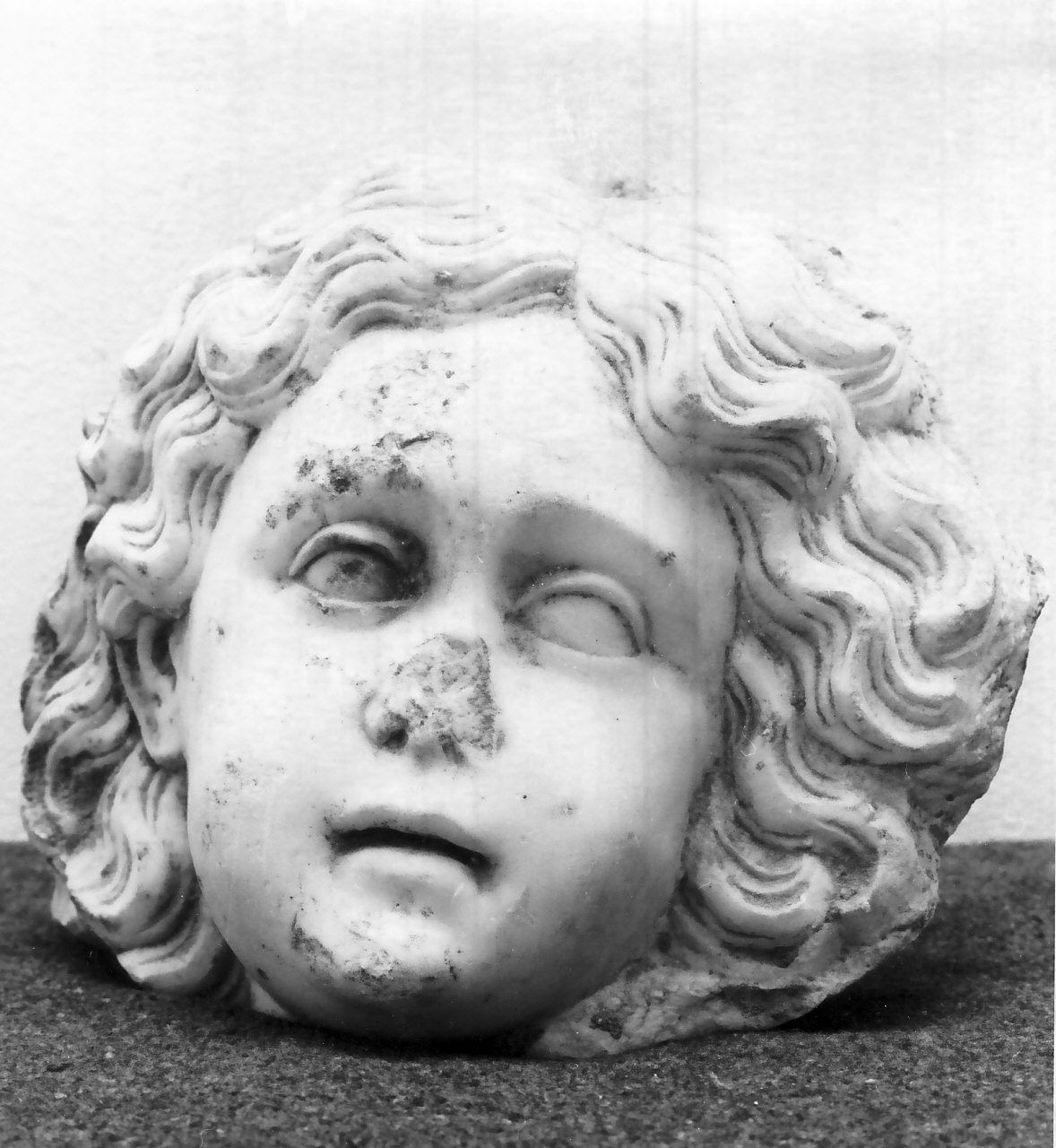 testa di angelo (decorazione plastica, frammento) - bottega napoletana (seconda metà sec. XVII)
