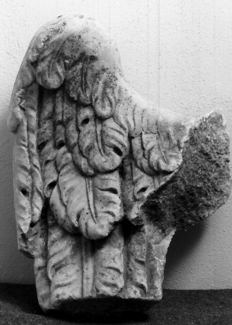 angelo (decorazione plastica, frammento) - bottega napoletana (seconda metà sec. XVII)