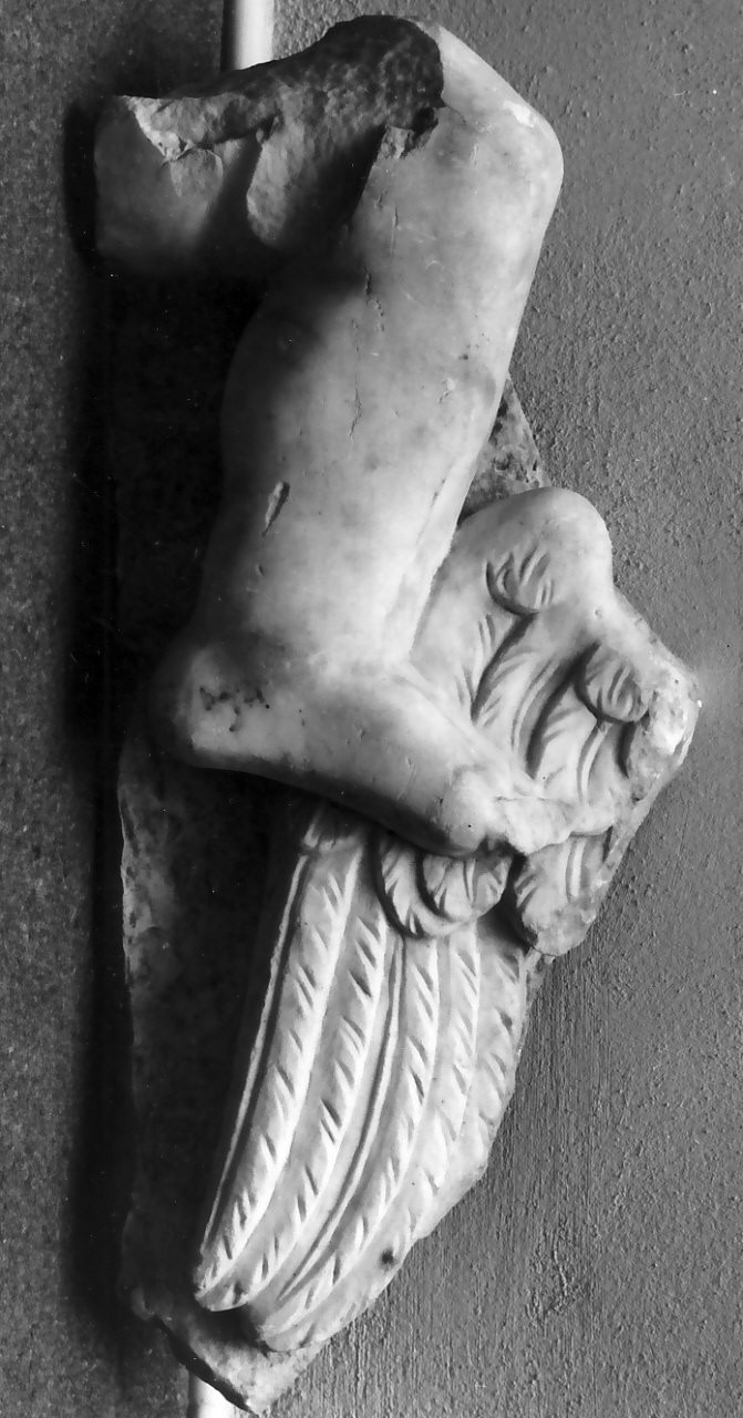 angelo (decorazione plastica, frammento) - bottega napoletana (ultimo quarto sec. XVII)