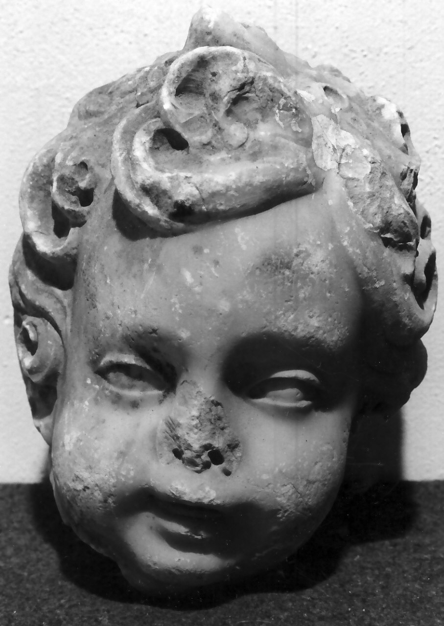 putto (decorazione plastica, frammento) di Fanzago Cosimo (bottega) (prima metà sec. XVII)