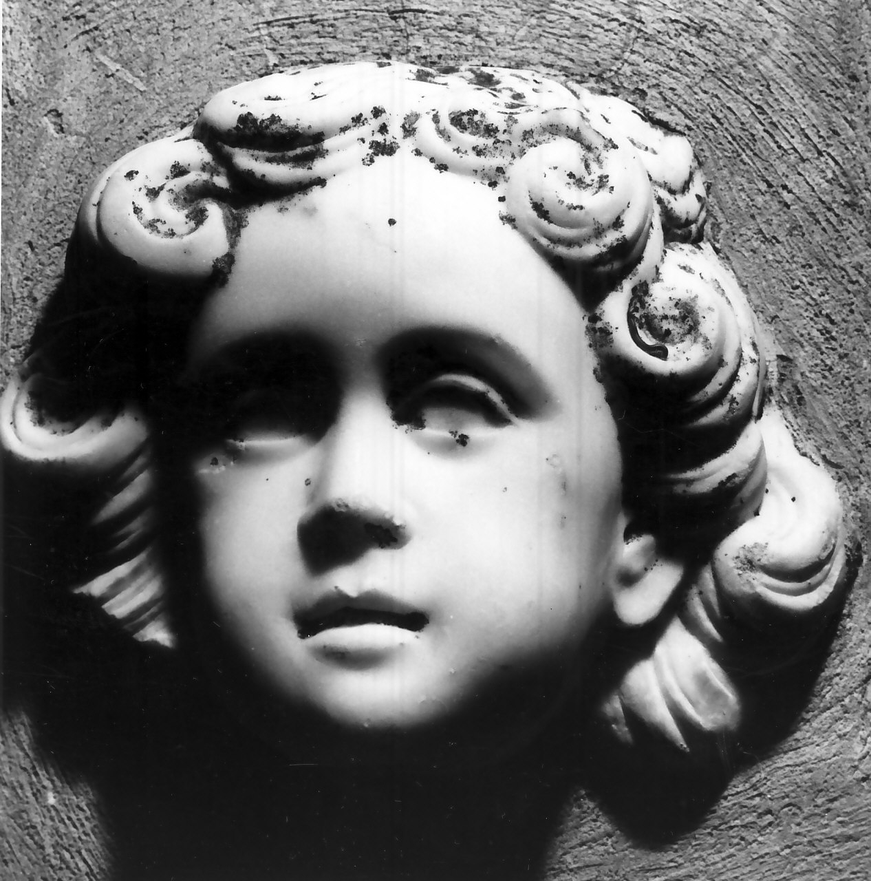 testa di bambino (decorazione plastica, frammento) - bottega napoletana (fine/inizio secc. XVII/ XVIII)