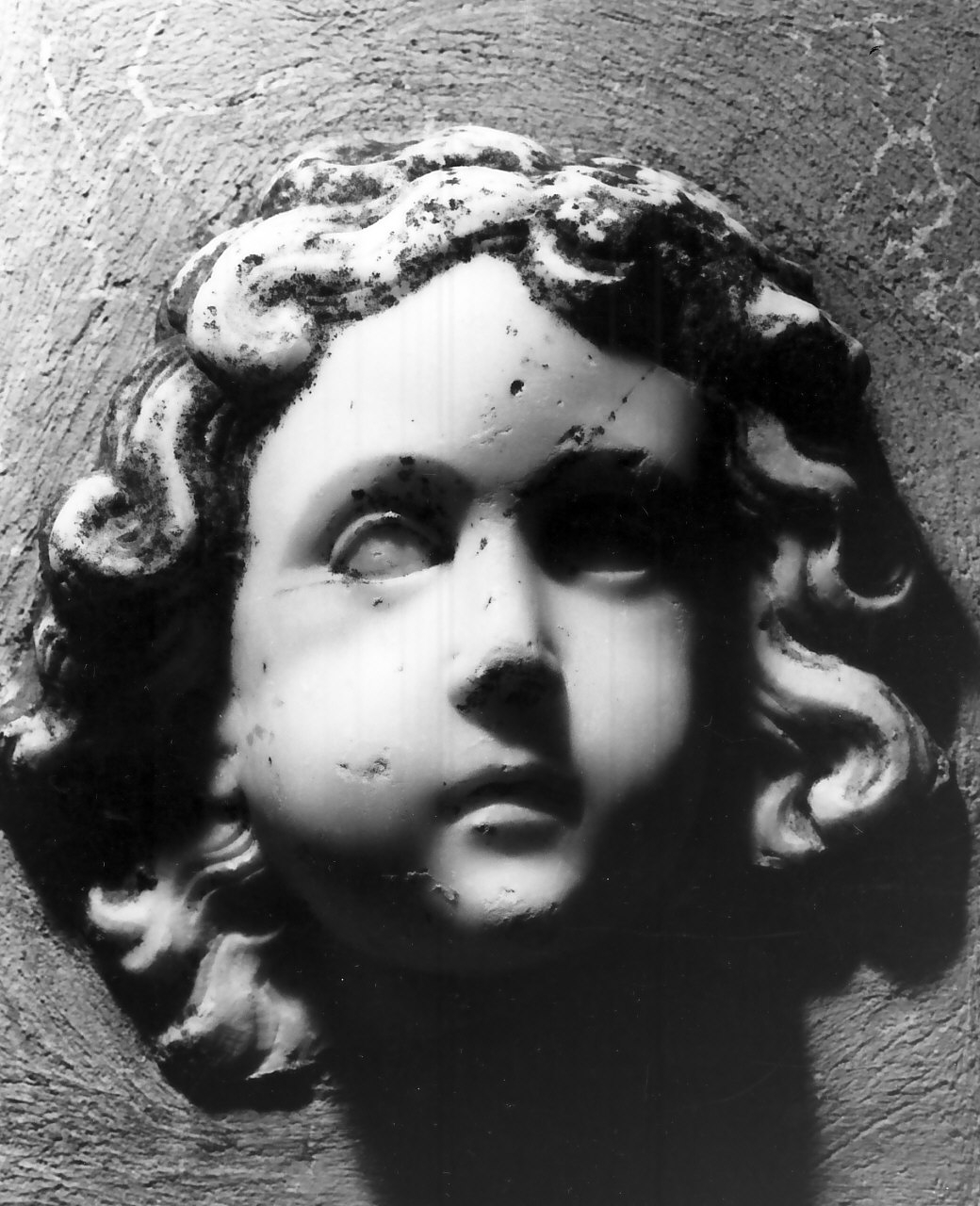 testa di bambino (decorazione plastica, frammento) - bottega napoletana (fine/inizio secc. XVII/ XVIII)