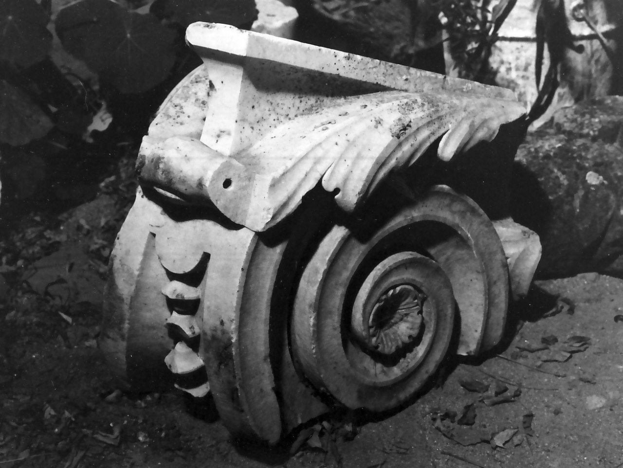 decorazione plastica, frammento - bottega napoletana (seconda metà sec. XVII)