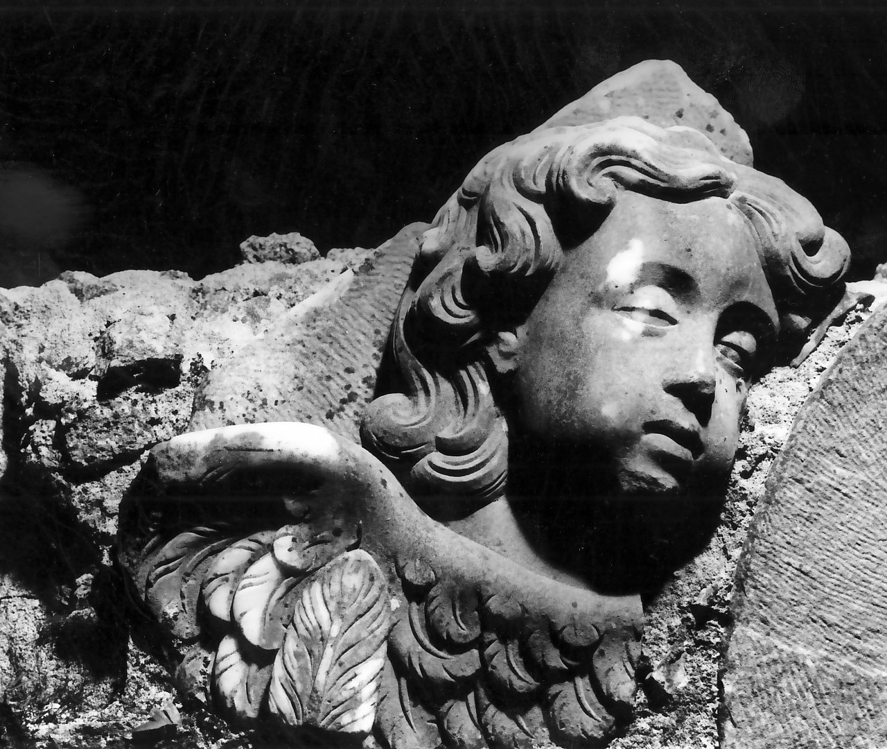 angelo (decorazione plastica, frammento) - bottega napoletana (fine/inizio secc. XVII/ XVIII)