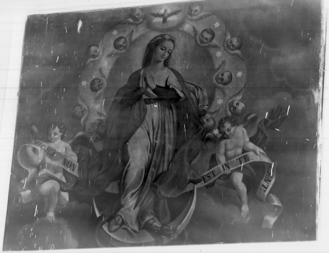 Madonna Immacolata (dipinto, opera isolata) di Ceravolo Antonio (sec. XIX)