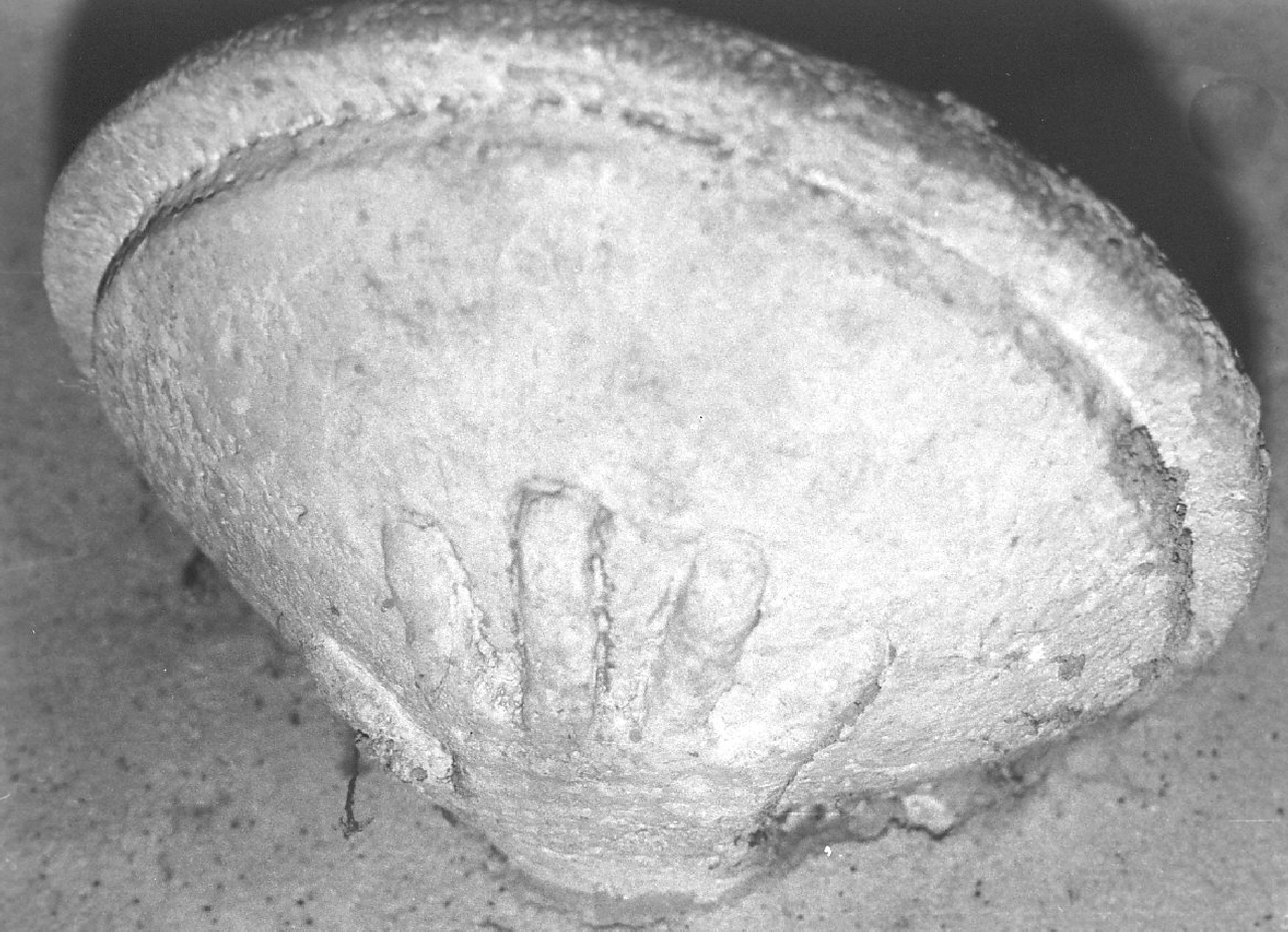 acquasantiera pensile, opera isolata - bottega Italia meridionale (sec. XVIII)