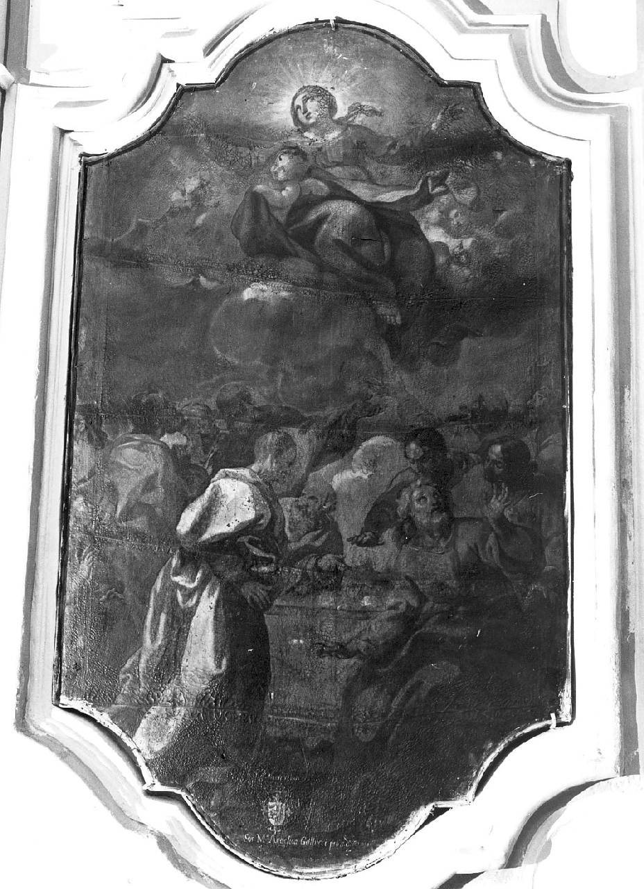 assunzione della Madonna (dipinto, opera isolata) di Basile Domenico (sec. XVIII)