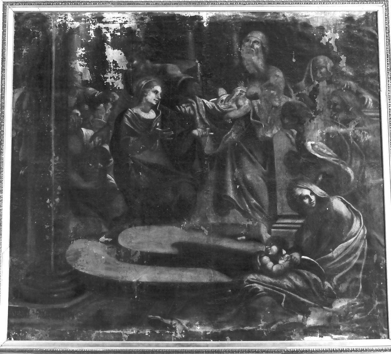 presentazione di Gesù al tempio (dipinto, opera isolata) - ambito Italia meridionale (prima metà sec. XVIII)