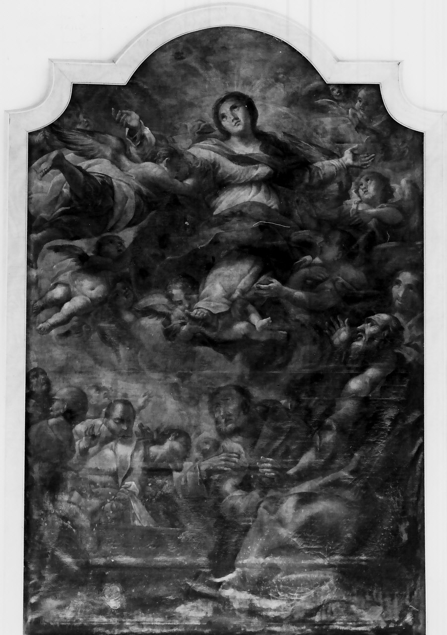 assunzione della Madonna (dipinto, opera isolata) - ambito Italia meridionale (secondo quarto sec. XVIII)