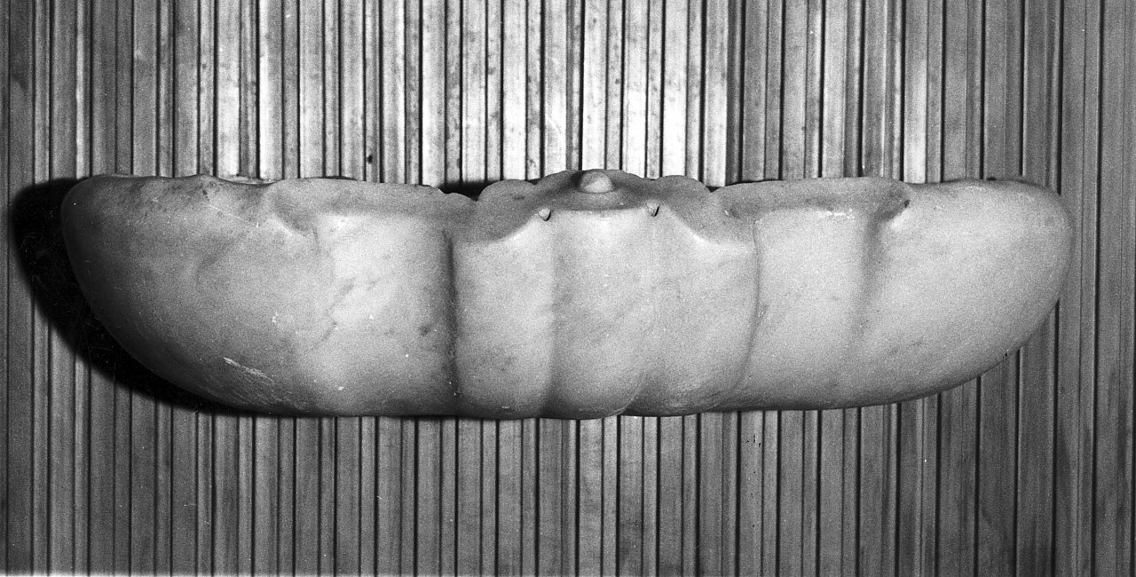 acquasantiera - a conchiglia - bottega calabrese (sec. XVIII)