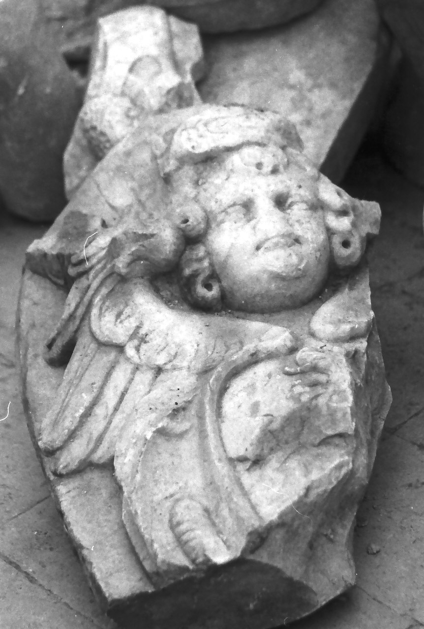 stemma (decorazione plastica, frammento) - bottega calabrese (sec. XVII)