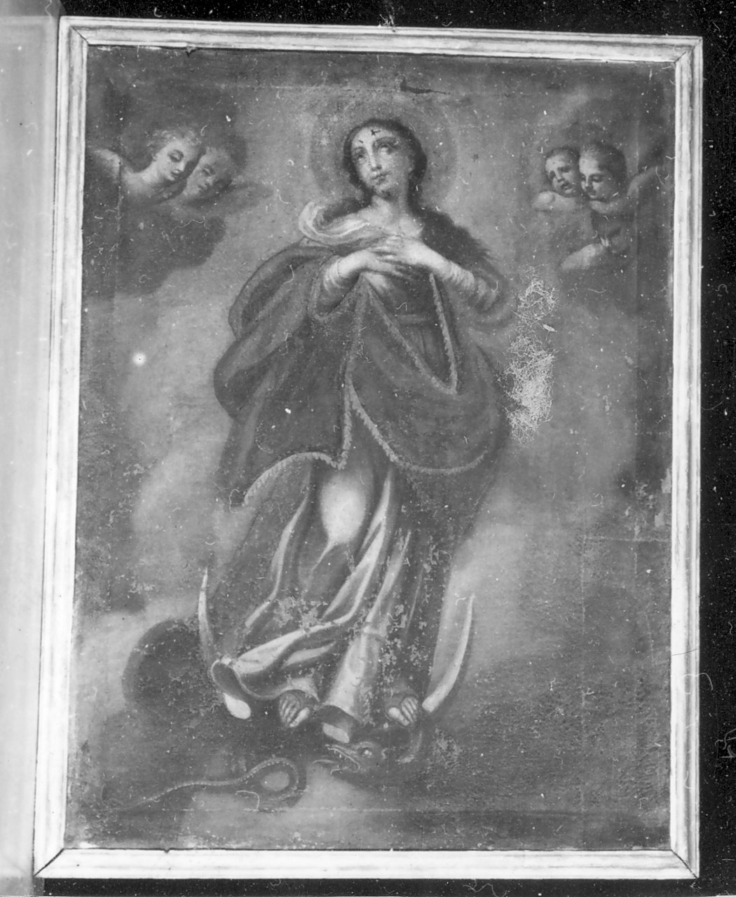 Madonna Immacolata (dipinto, elemento d'insieme) di Giaquinto Corrado (bottega) (sec. XVIII)