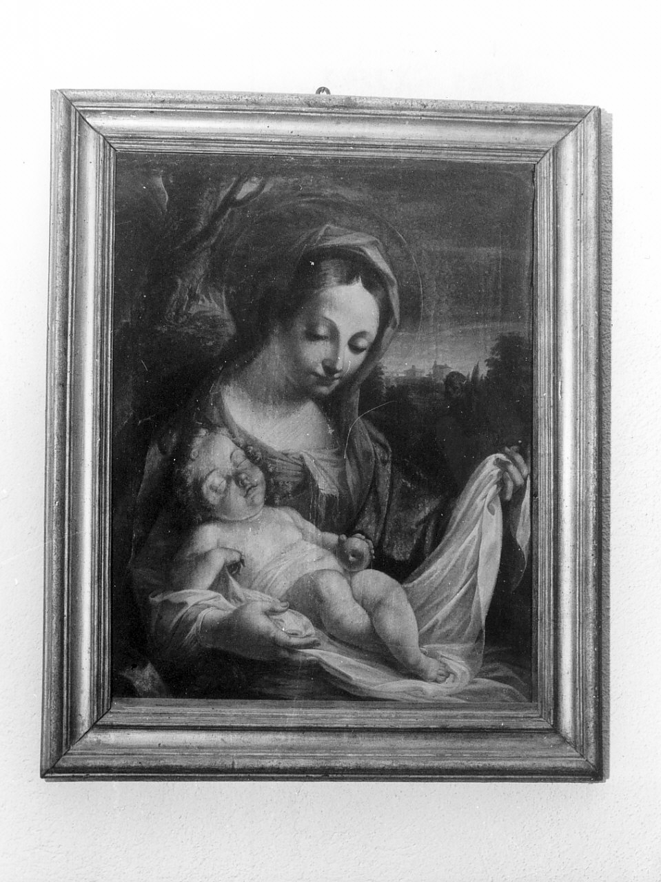 Madonna della Purità, Madonna (dipinto, opera isolata) - ambito toscano (fine/inizio secc. XVII/ XVIII)