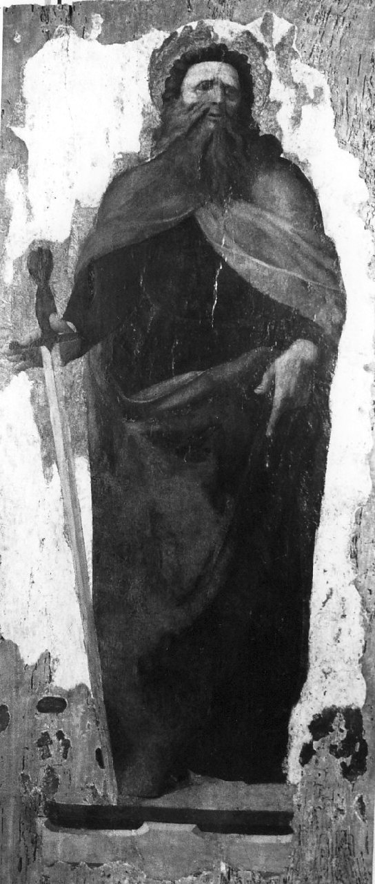 San Paolo (dipinto, opera isolata) di Cavaro Pietro (sec. XVI)