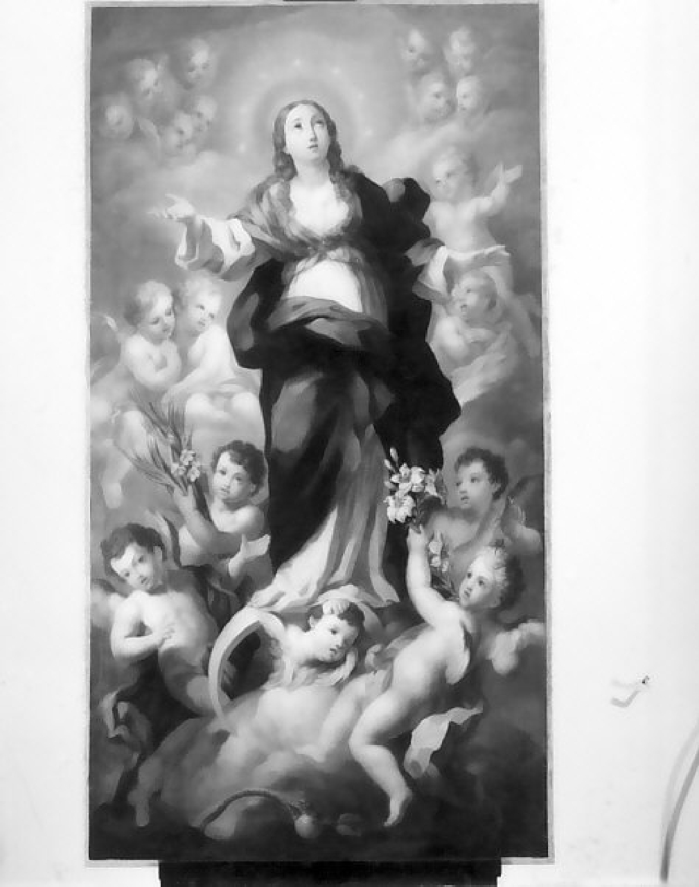 assunzione della Madonna (dipinto, opera isolata) di Pascaletti Giuseppe (sec. XVIII)