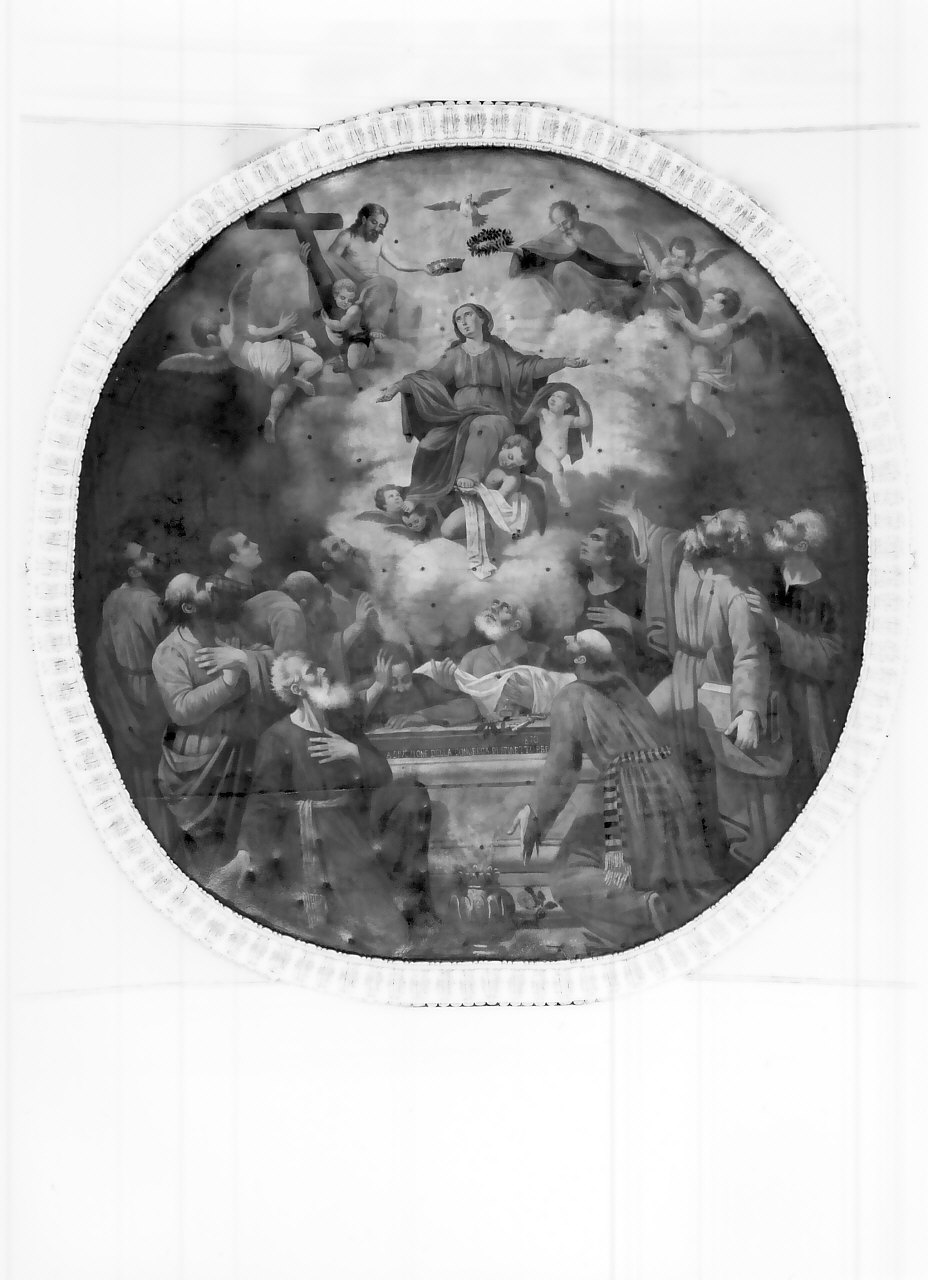 assunzione della Madonna (dipinto, opera isolata) di Pisani Venanzio (sec. XIX)