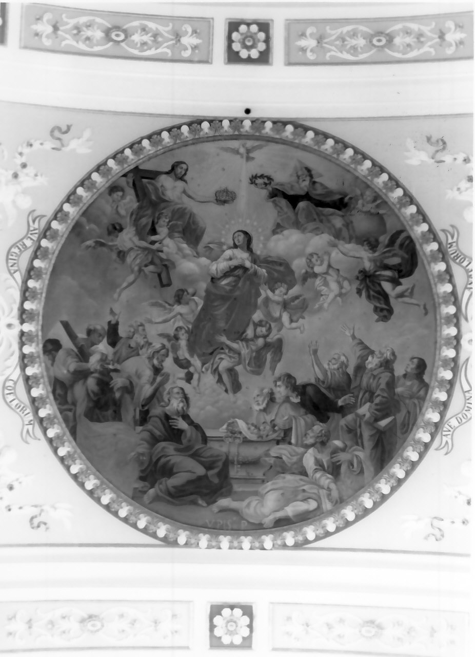 assunzione della Madonna (dipinto, elemento d'insieme) di Pisani Venanzio (fine/inizio secc. XVIII/ XIX)