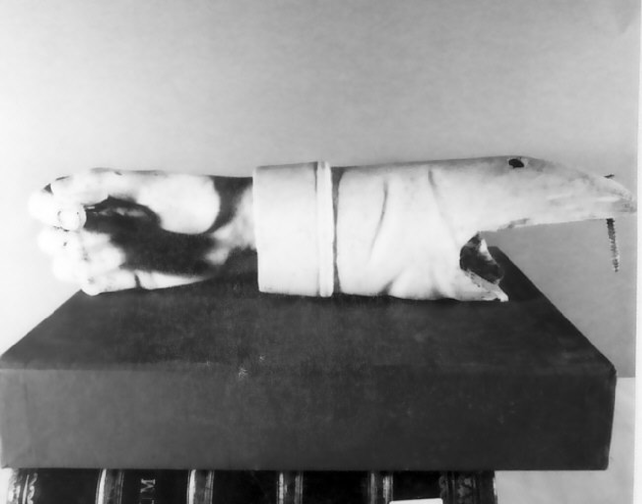 scultura, frammento - bottega calabrese (sec. XIX)