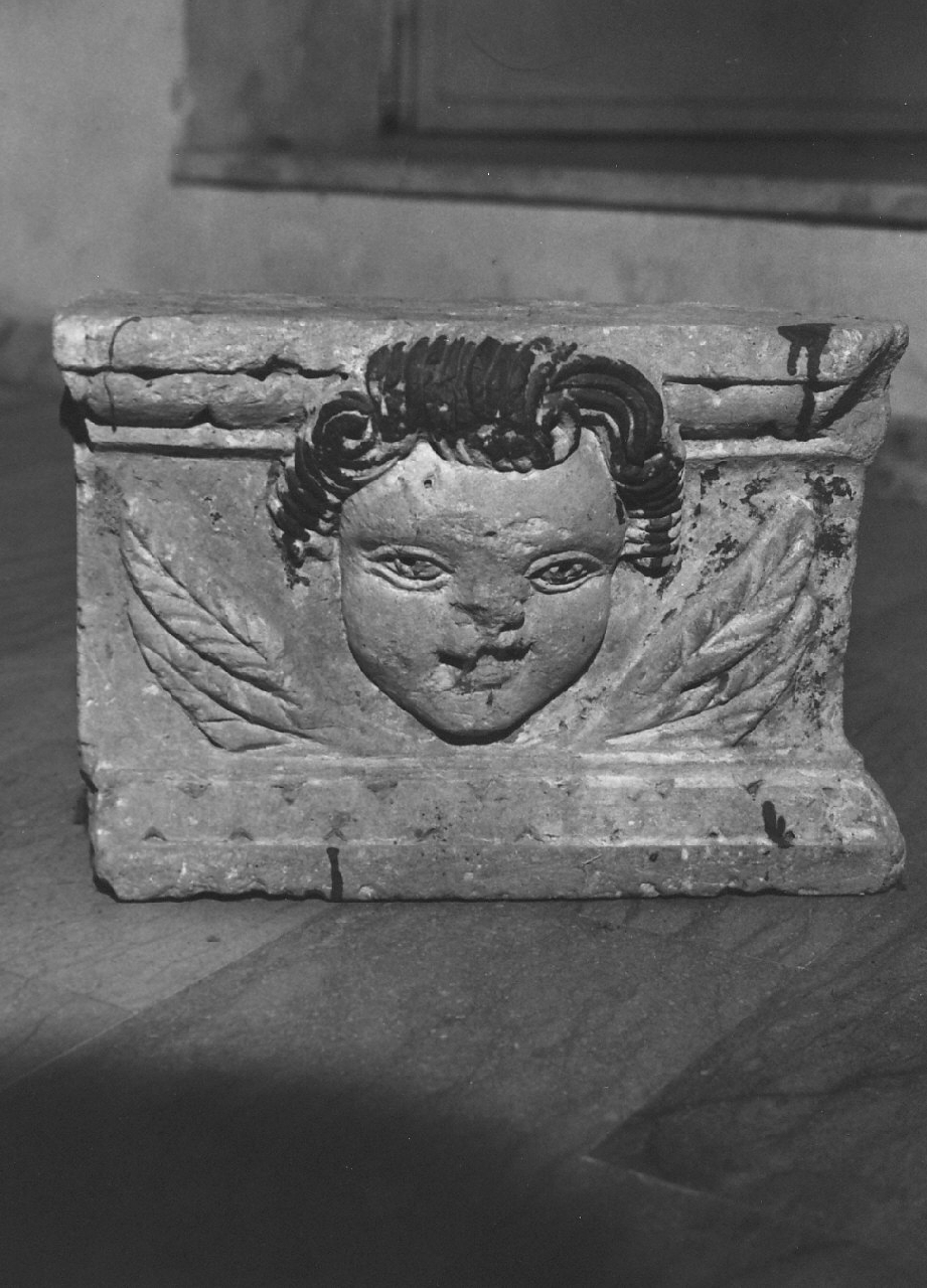 cherubino (decorazione plastica, frammento) - bottega calabrese (sec. XIX)