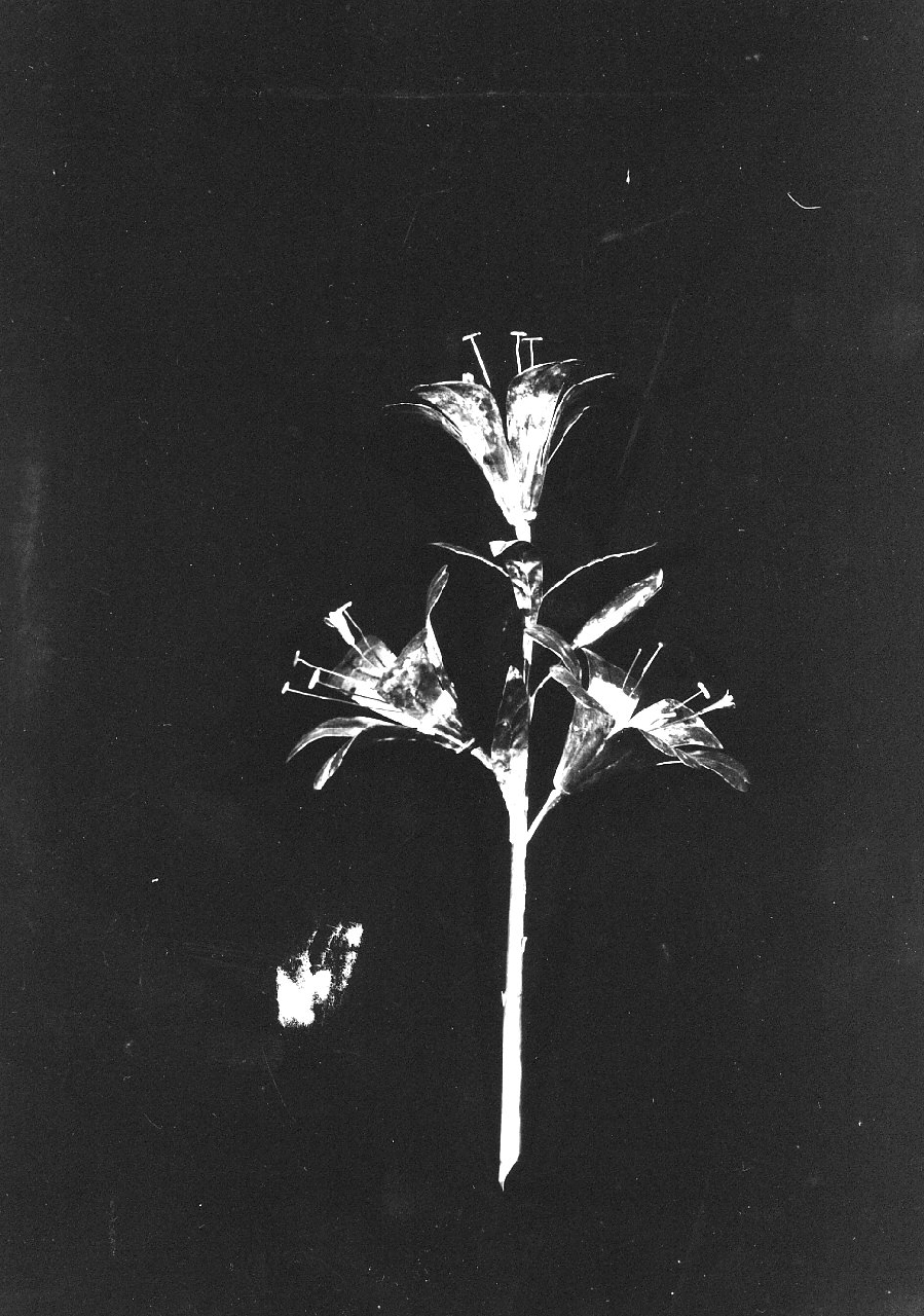 ex voto, opera isolata - bottega Italia meridionale (sec. XIX)