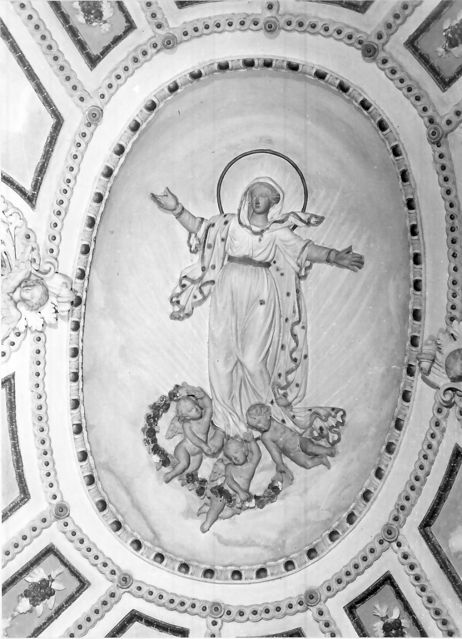 Madonna Assunta con angeli (decorazione plastica, opera isolata) di Morani Vincenzo (sec. XIX)