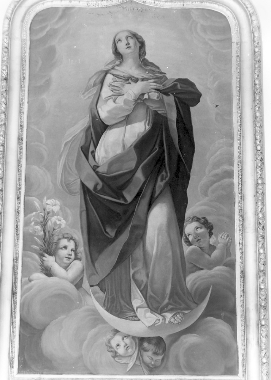 Madonna Immacolata (dipinto, opera isolata) di Passani (sec. XX)