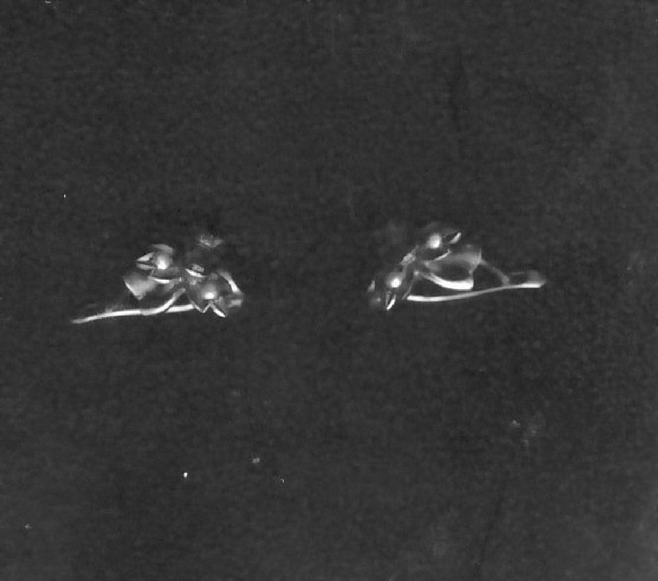 orecchino, serie - bottega Italia meridionale (sec. XX)