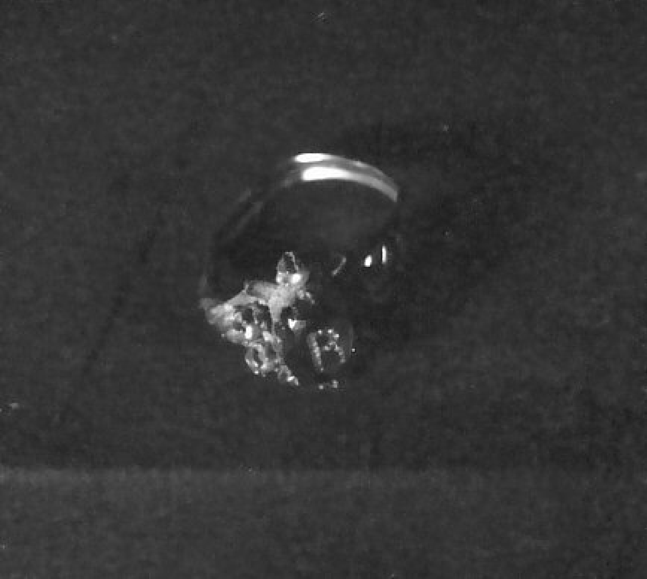 anello - bottega Italia meridionale (fine sec. XIX)