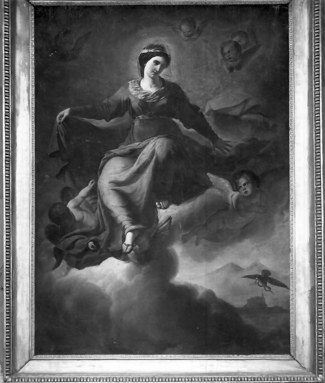 Madonna detta "La Salvatrice", madonna (dipinto, opera isolata) di Foggia Michele (sec. XIX)