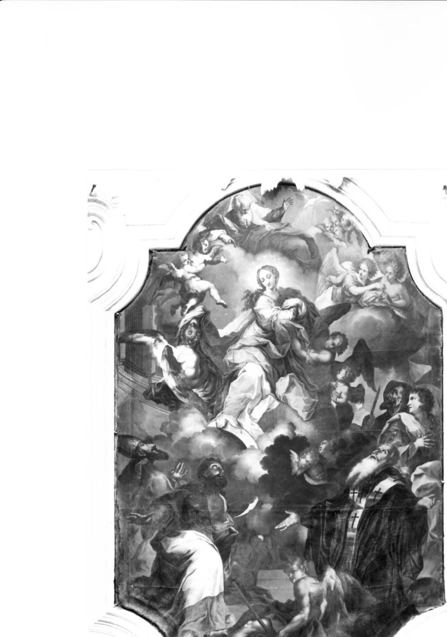 Immacolata Concezione e santi (dipinto, opera isolata) di Paparo Emanuele (sec. XIX)