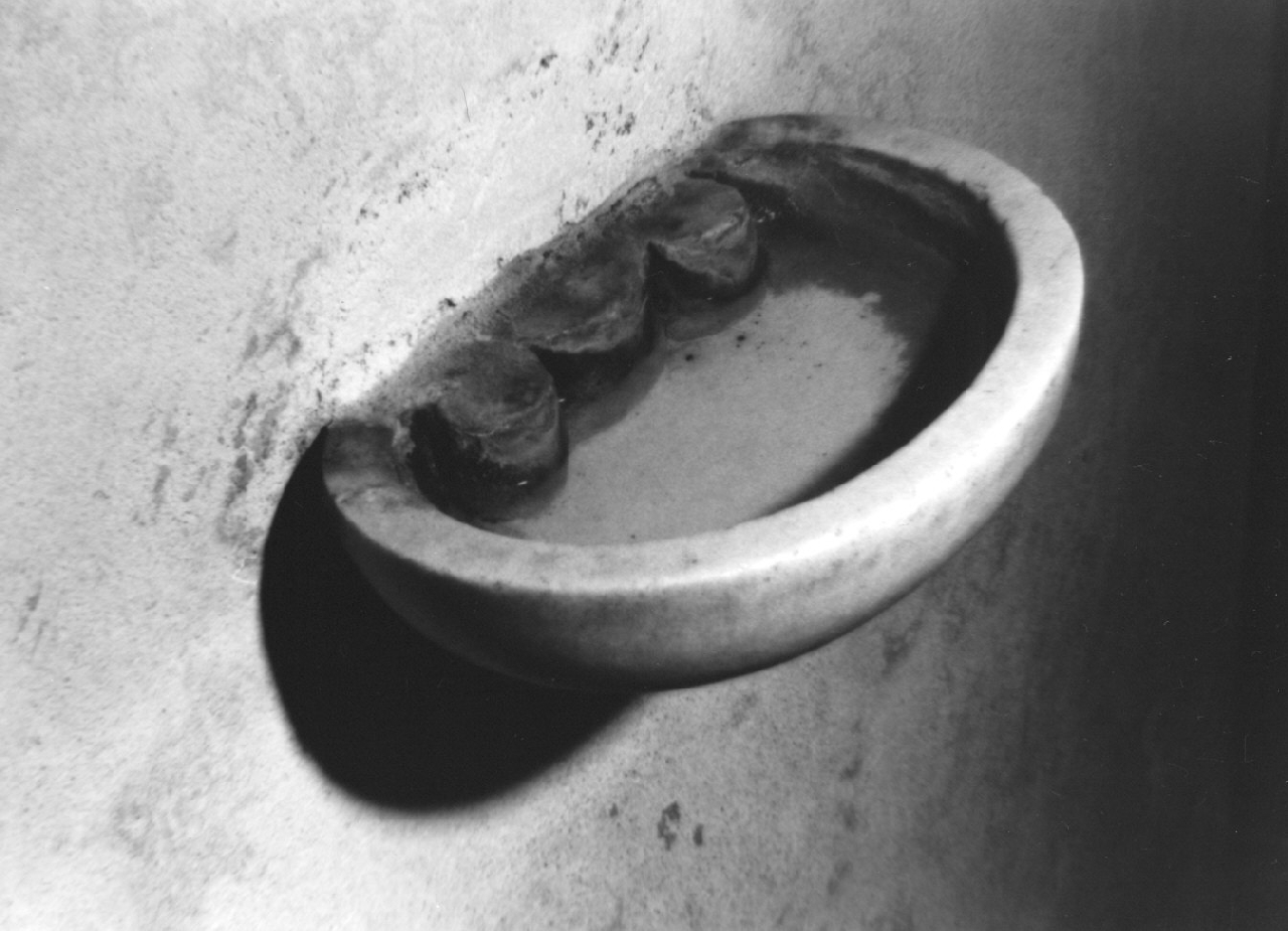 acquasantiera - a conchiglia, serie - bottega Italia meridionale (sec. XVIII)