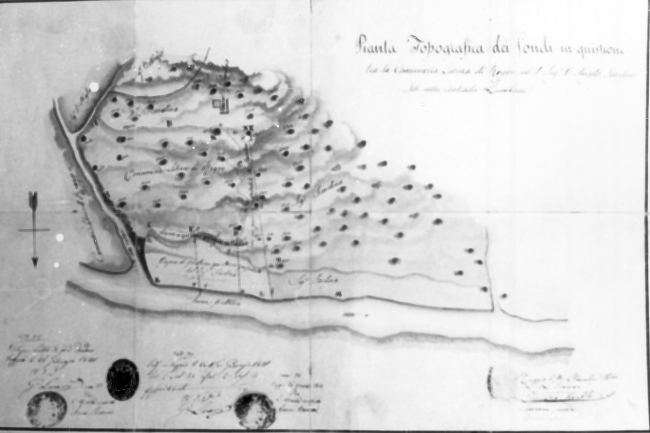 pianta topografica, opera isolata di Rizzica Giuseppe, Palmieri Giuseppe, Costantino G (sec. XIX)