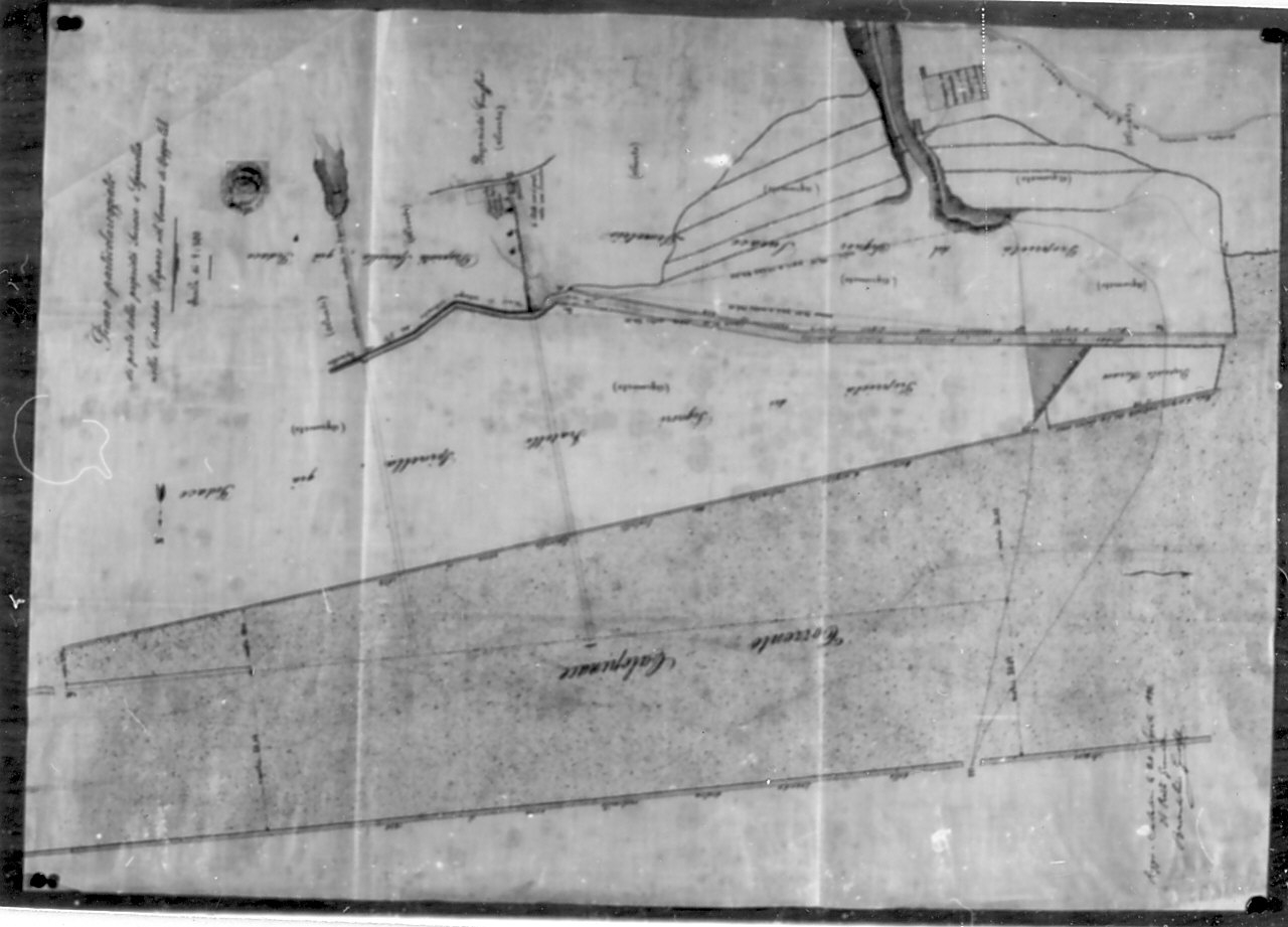 planimetria, opera isolata di Albonico Giuseppe (sec. XIX)