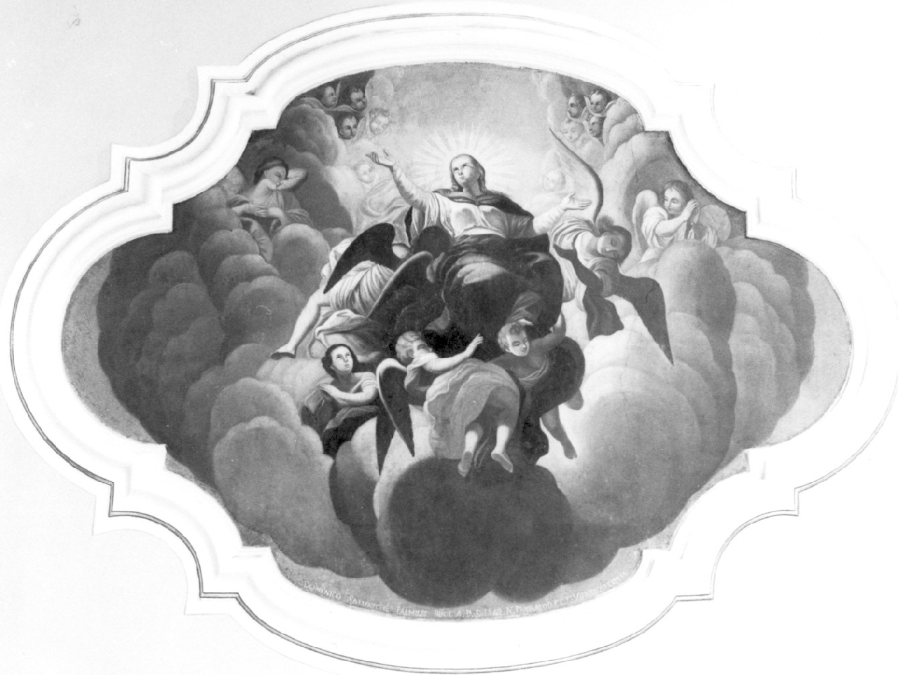 Madonna Assunta (dipinto, opera isolata) di Palmieri Domenico (sec. XIX)