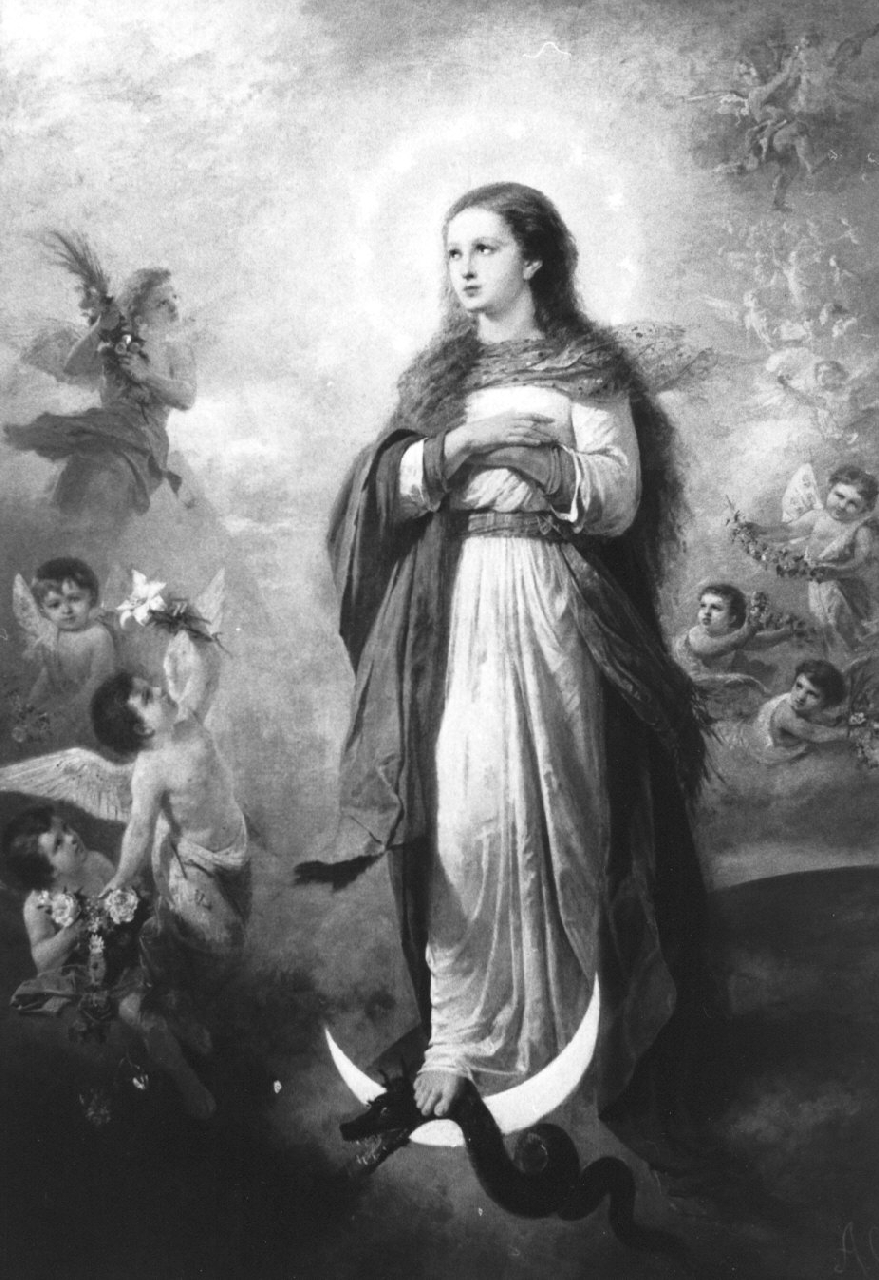 Madonna Immacolata (dipinto, opera isolata) di Cefaly Andrea (sec. XIX)
