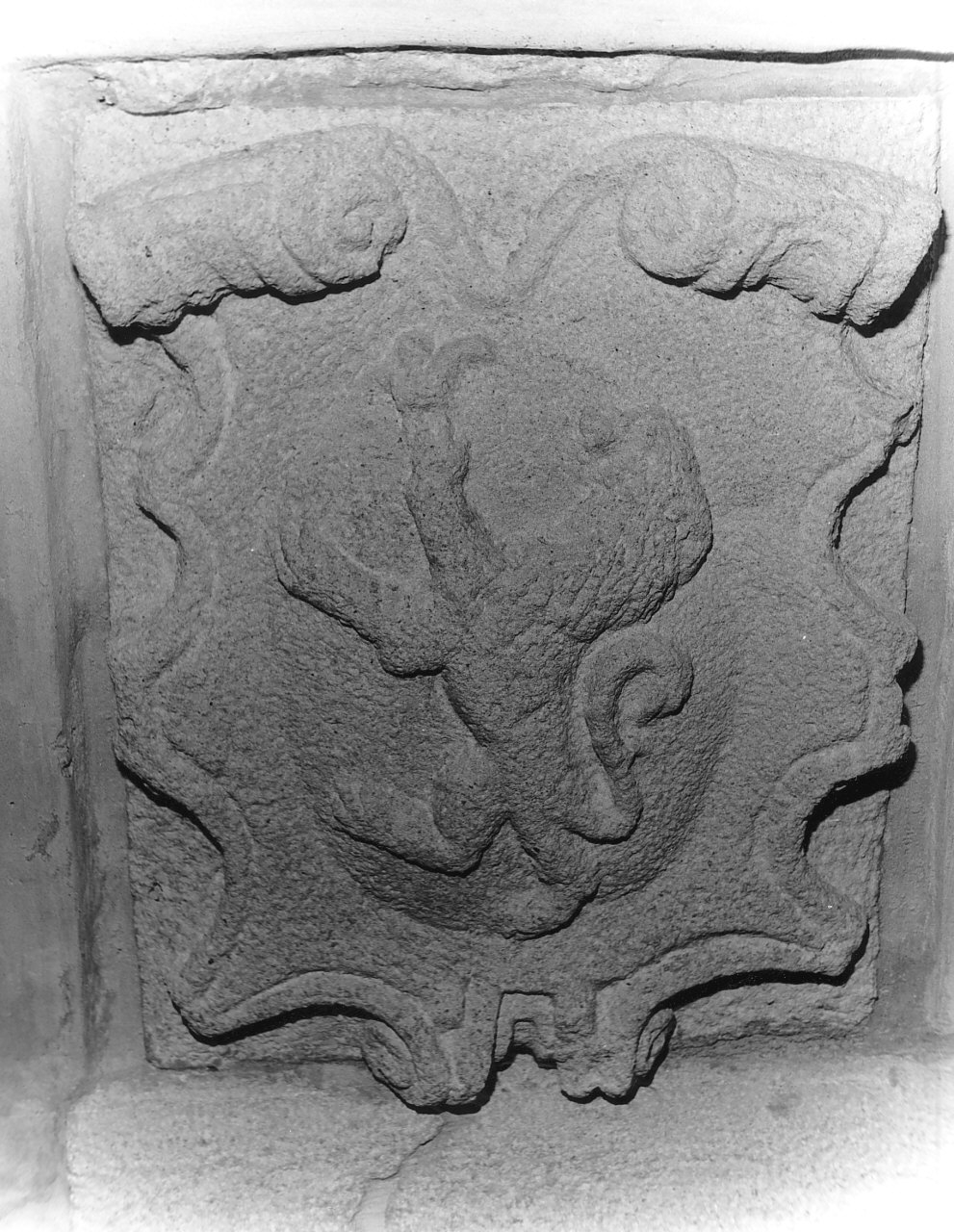 stemma gentilizio (rilievo, opera isolata) - bottega calabrese (seconda metà sec. XIV)