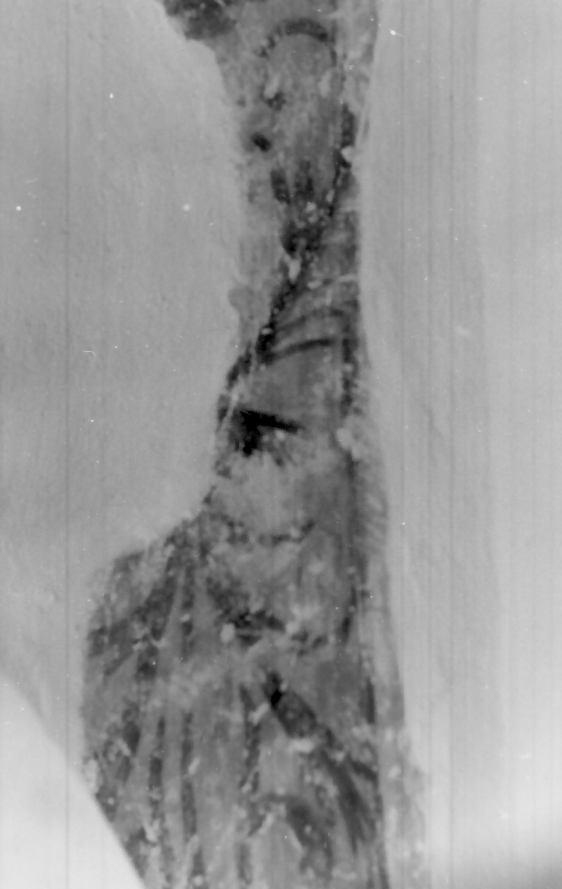 Santo domenicano (dipinto, frammento) - ambito calabrese (seconda metà sec. XVI)